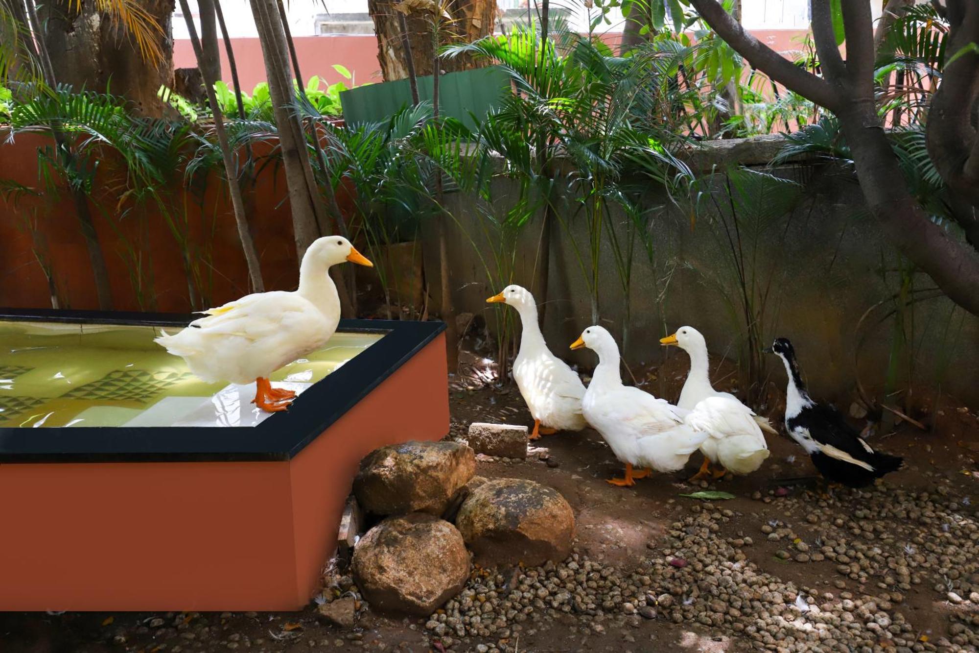 Lemon Tree Suites, Whitefield, Bengaluru المظهر الخارجي الصورة